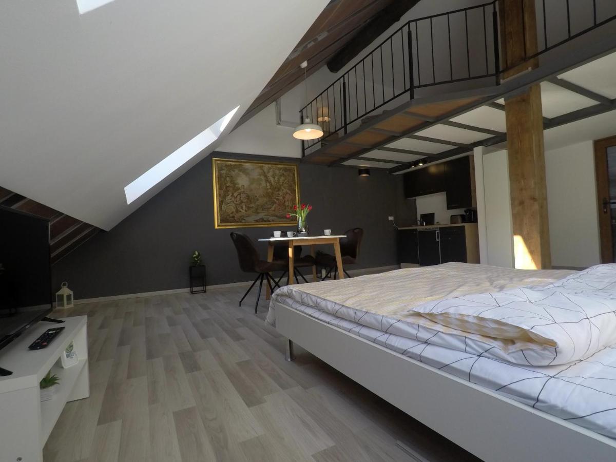 Savoya Nr2 Loft Studio Old City Center Self Check-In Workspace Тимишоара Екстериор снимка