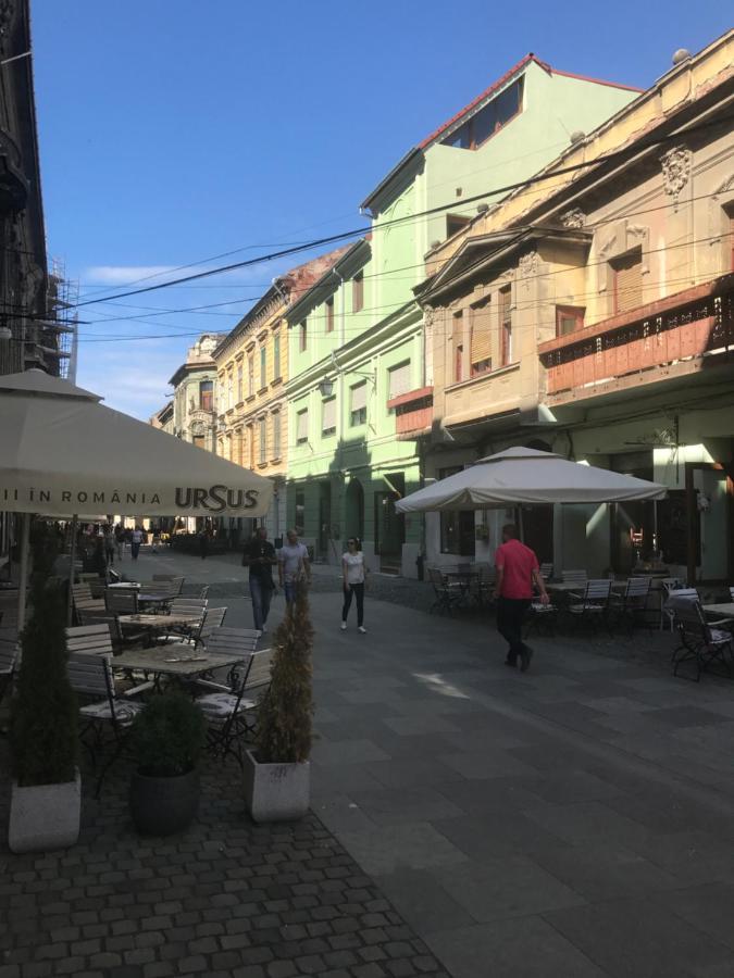 Savoya Nr2 Loft Studio Old City Center Self Check-In Workspace Тимишоара Екстериор снимка