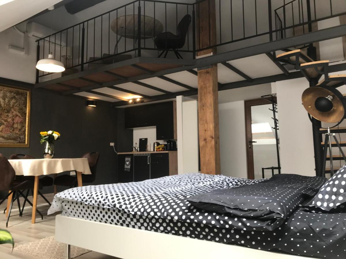 Savoya Nr2 Loft Studio Old City Center Self Check-In Workspace Тимишоара Екстериор снимка