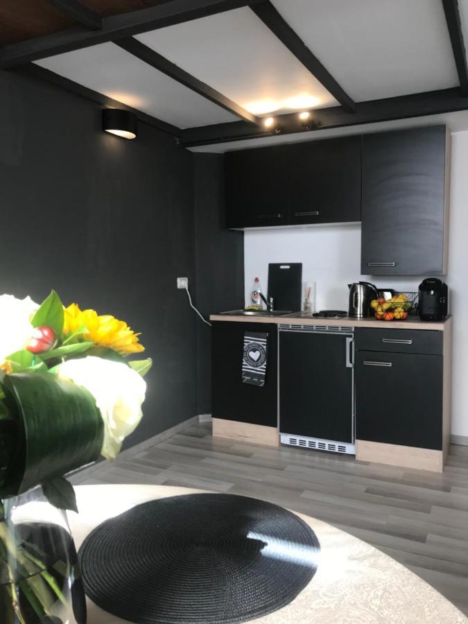 Savoya Nr2 Loft Studio Old City Center Self Check-In Workspace Тимишоара Екстериор снимка