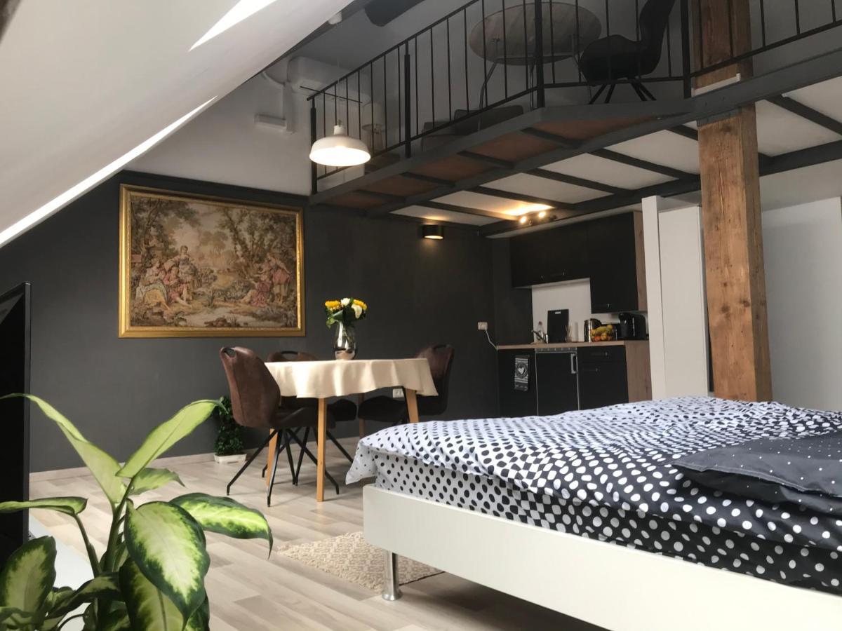 Savoya Nr2 Loft Studio Old City Center Self Check-In Workspace Тимишоара Екстериор снимка