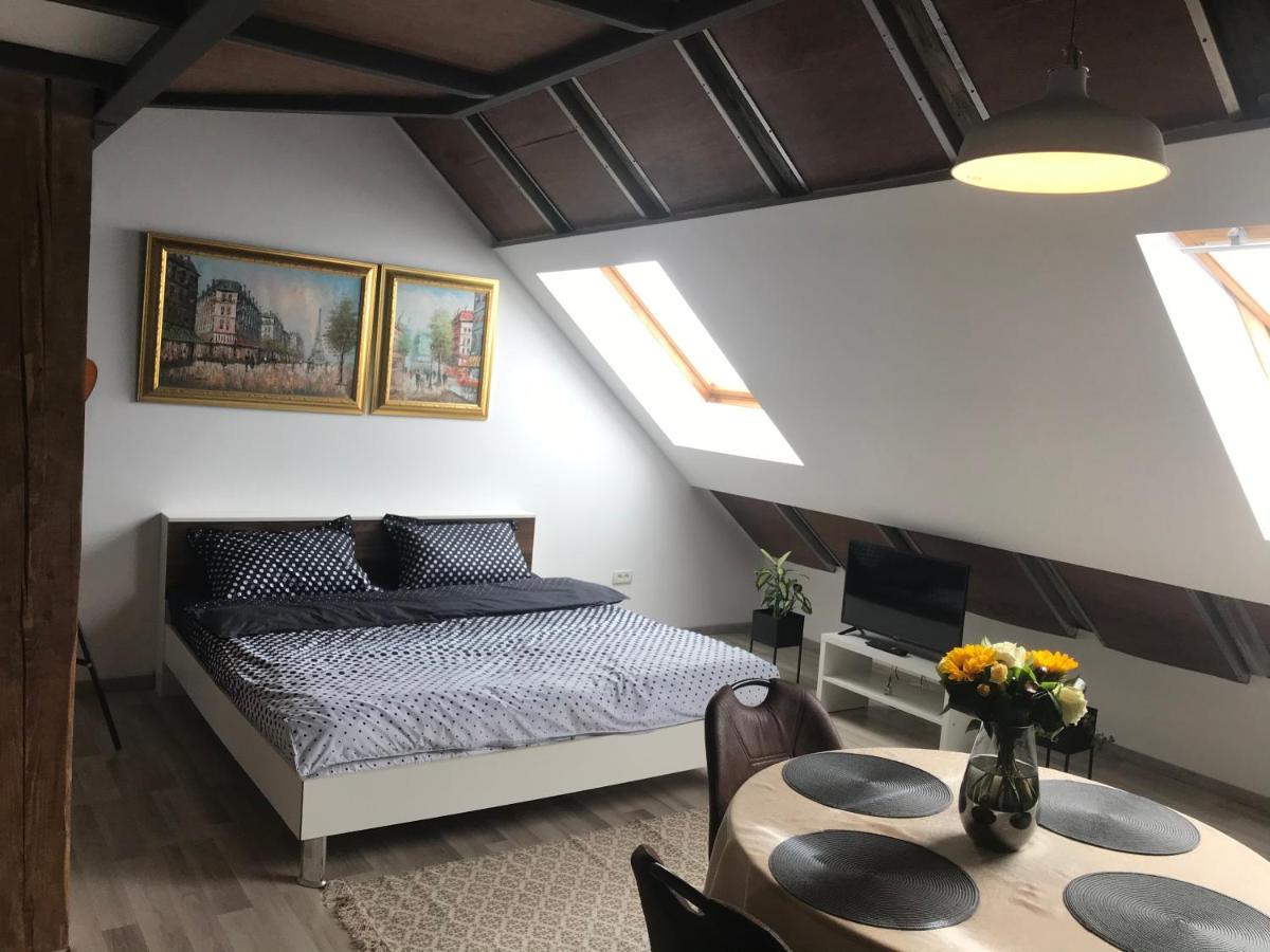 Savoya Nr2 Loft Studio Old City Center Self Check-In Workspace Тимишоара Екстериор снимка