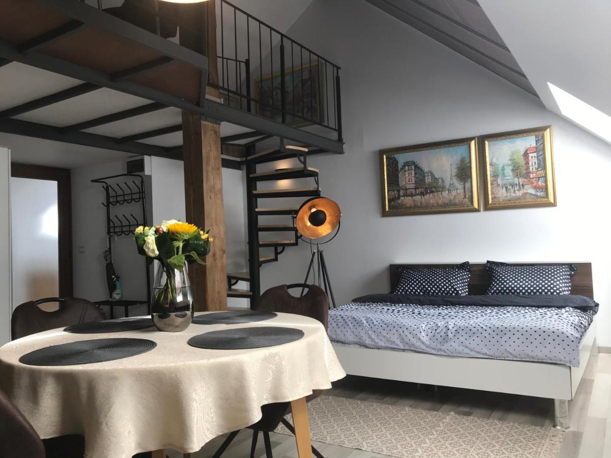 Savoya Nr2 Loft Studio Old City Center Self Check-In Workspace Тимишоара Екстериор снимка