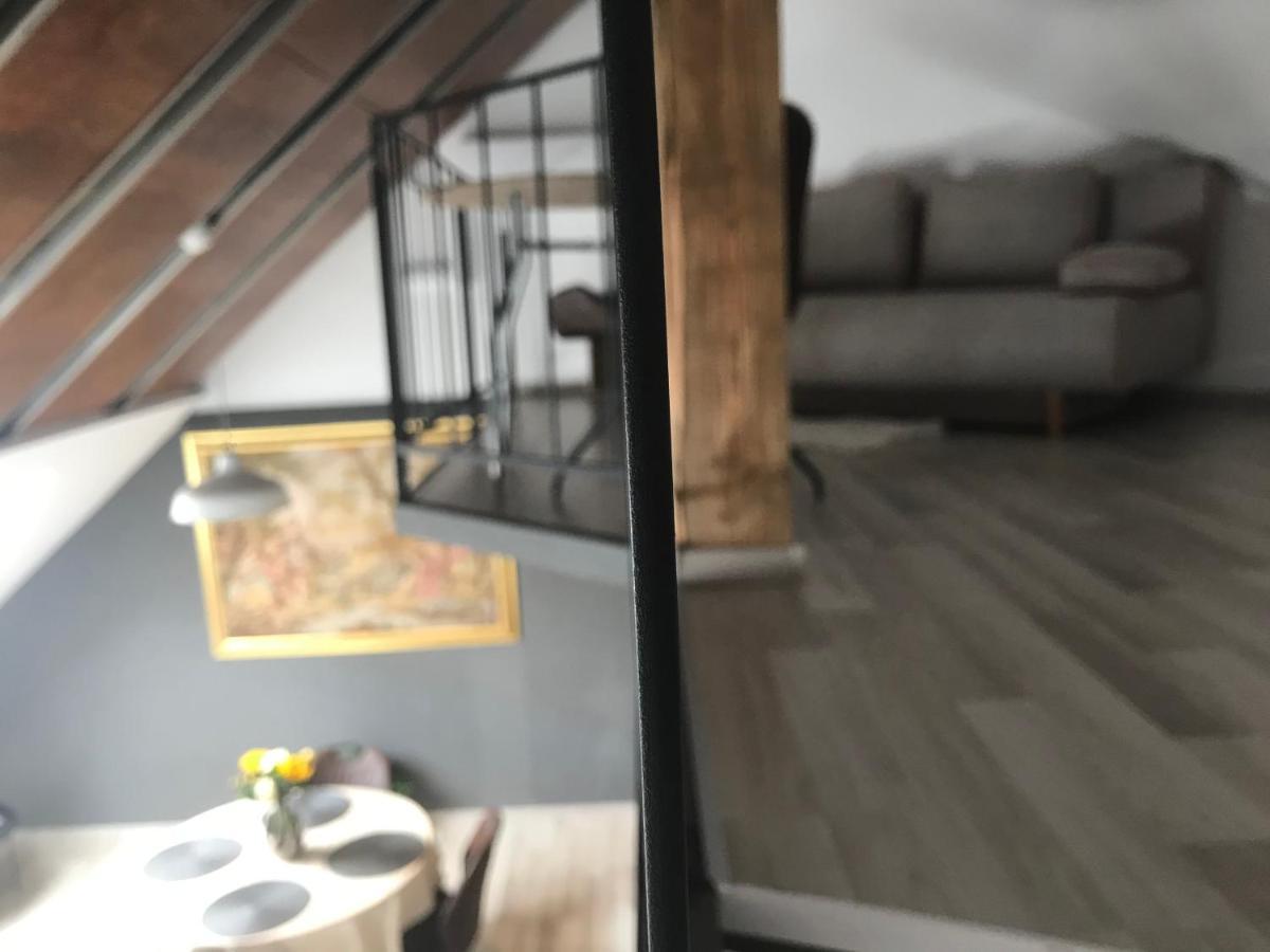Savoya Nr2 Loft Studio Old City Center Self Check-In Workspace Тимишоара Екстериор снимка